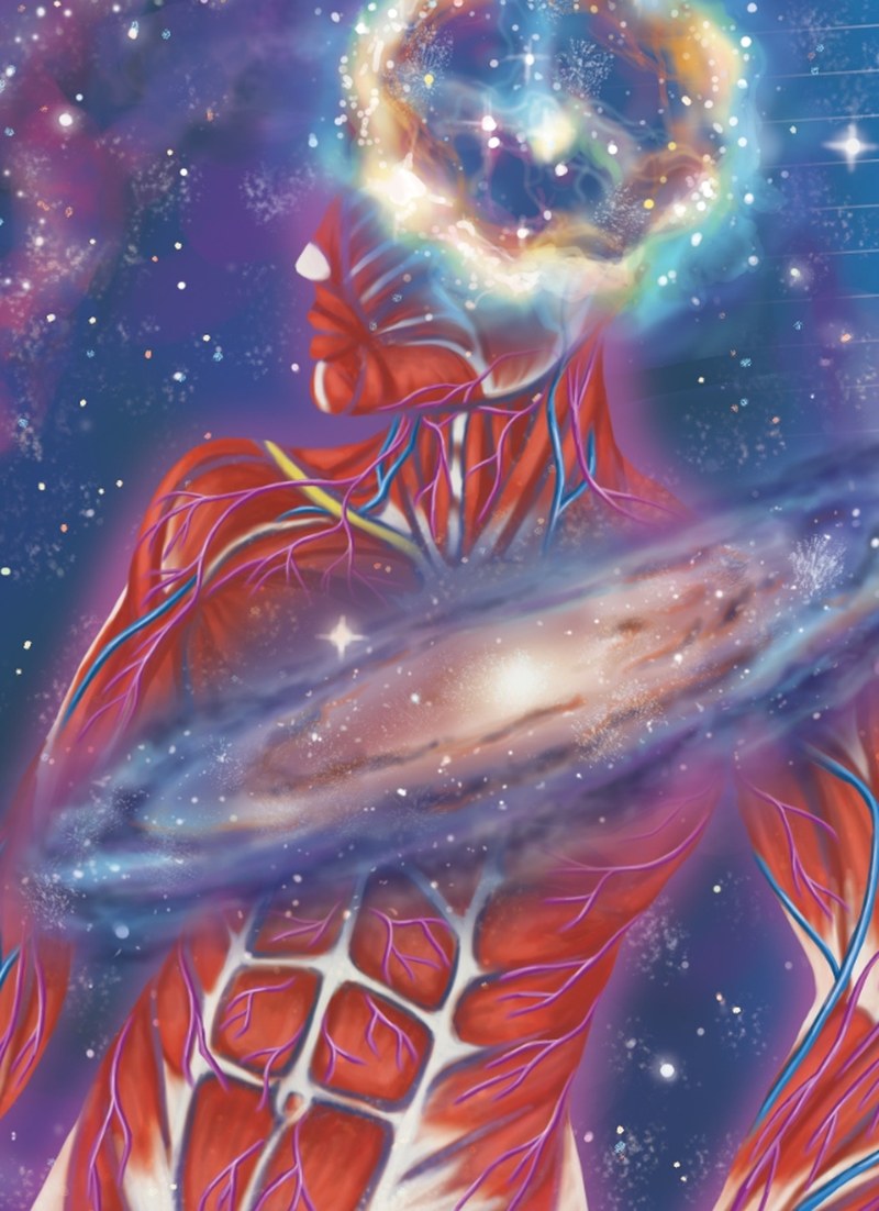 The back board of the jacket: an anatomical figure with a ring nebula for a head and a spiral galaxy across the chest, set against violet deep space.
